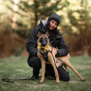 STEP 1 Introduction to Balanced Obedience Training and Relationship Development for dogs and humans