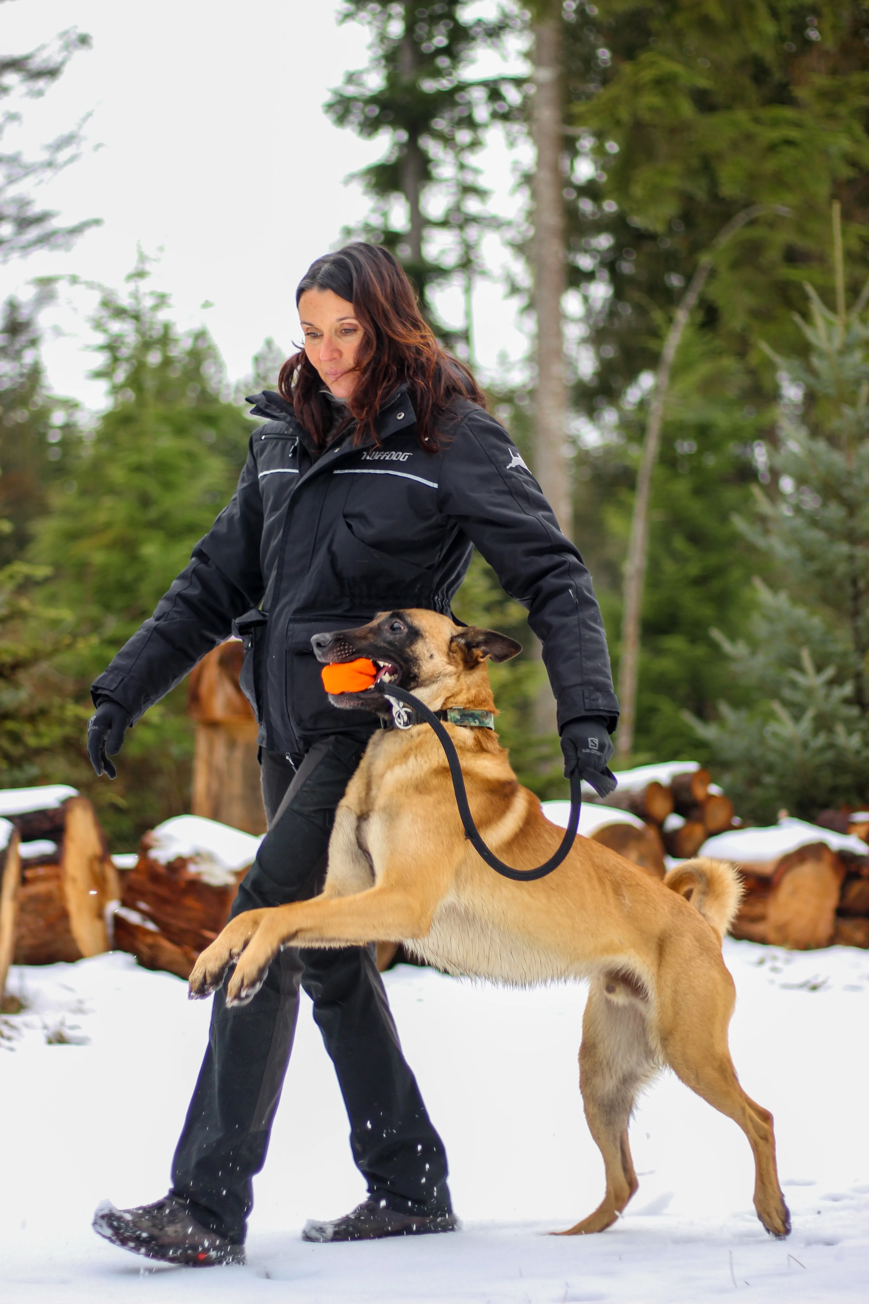 STEP 1 Introduction to Balanced Obedience Training and Relationship Development for dogs and humans