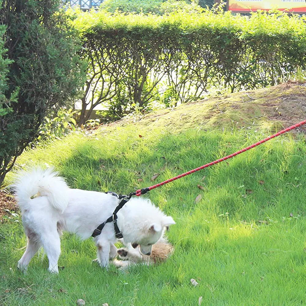 Super Strong Dog Leash with Padded Handle