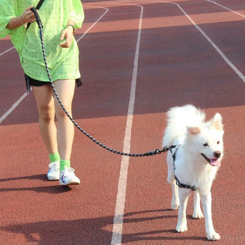 Super Strong Dog Leash with Padded Handle