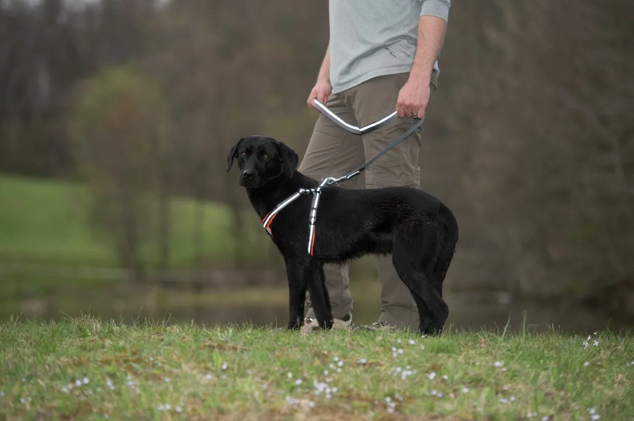 Weaver Terrain D.O.G. Durable Pet Outdoor Gear Reflective Neoprene Lined Harness