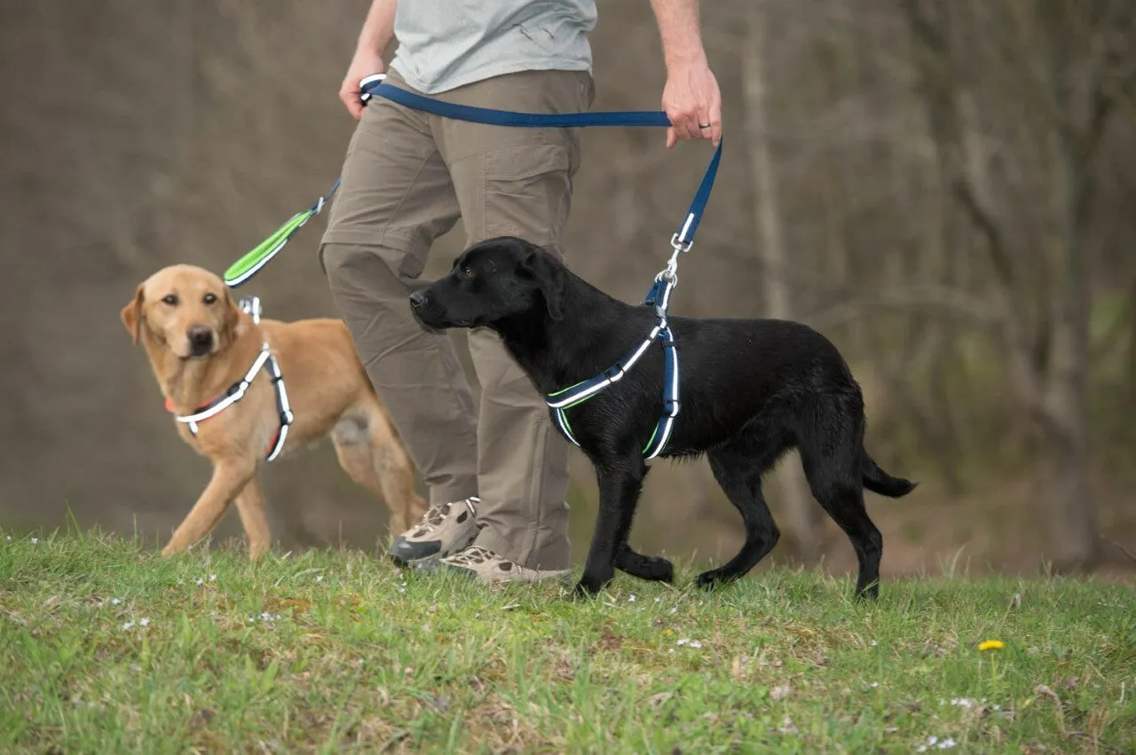 Weaver Terrain D.O.G. Durable Pet Outdoor Gear Reflective Neoprene Lined Harness